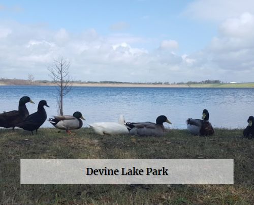 Devine Lake Park