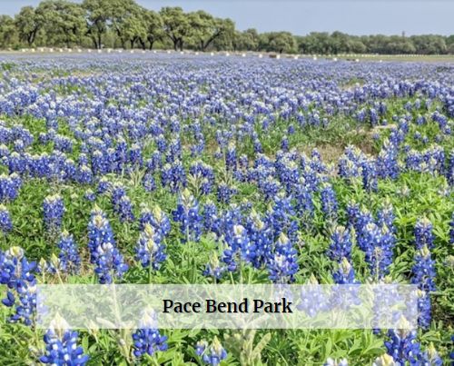 Pace Bend Park