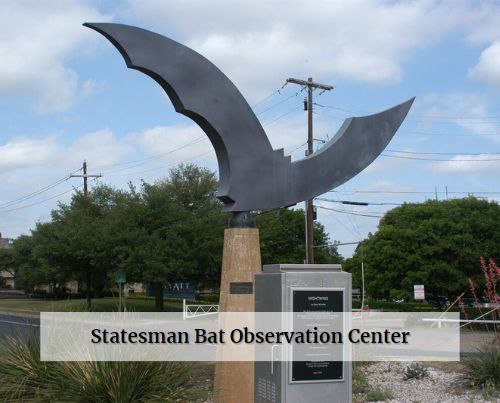 Statesman Bat Observation Center
