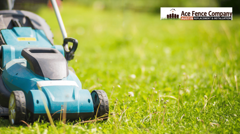 how to trim grass along fence 4